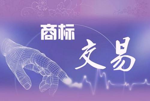 商標轉讓后多久能正常使用？
